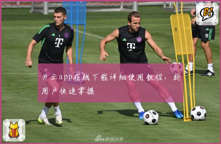 开云app在线下载详细使用教程，新用户快速掌握