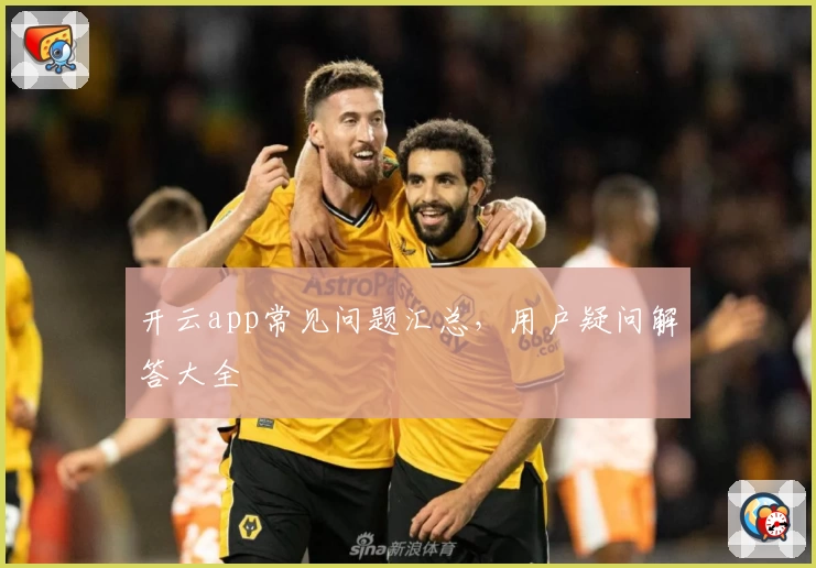 开云app常见问题汇总，用户疑问解答大全